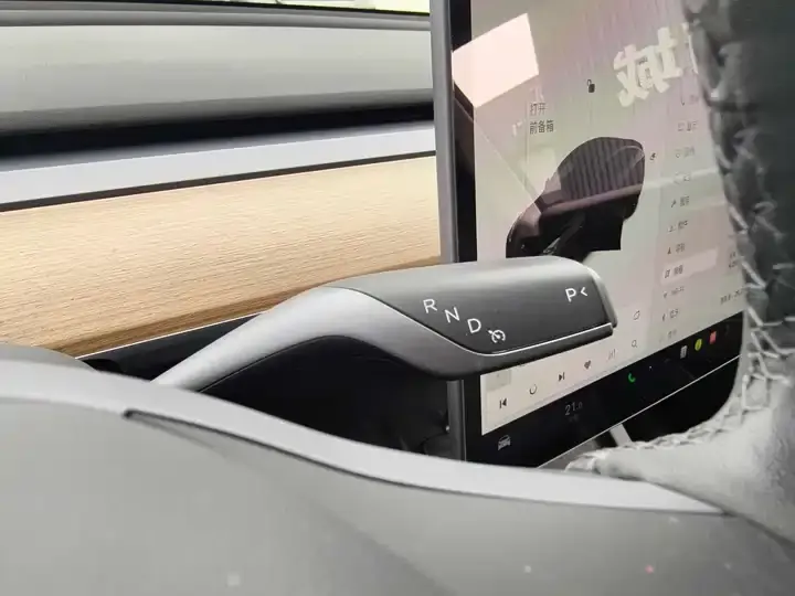 Model Y 2021 Standard Endurance Rear Drive Edition 7