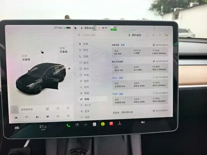 Model Y 2021 Standard Endurance Rear Drive Edition 8