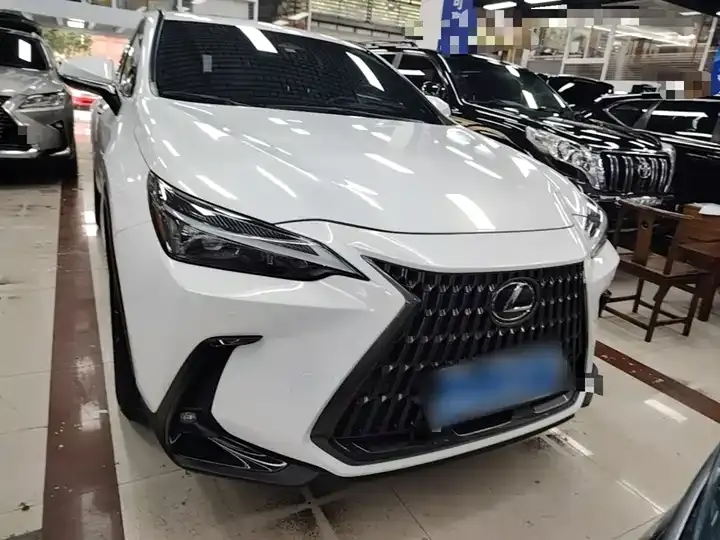 Lexus NX 2022 350h Precursor Chuangyue Edition 3