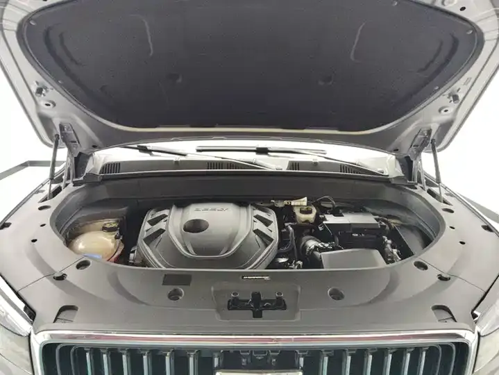 XingyueL (Monjaro) 2021 2.0TD high-power automatic four-wheel drive distinguished model 10