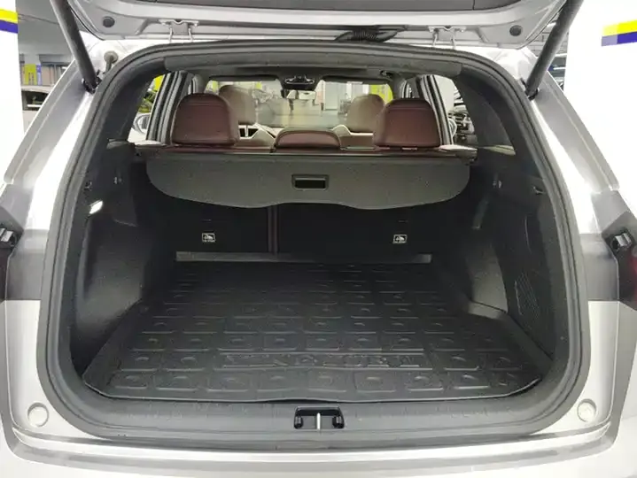XingyueL (Monjaro) 2021 2.0TD high-power automatic four-wheel drive distinguished model 4