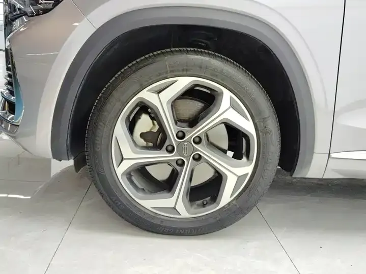 XingyueL (Monjaro) 2021 2.0TD high-power automatic four-wheel drive distinguished model 6