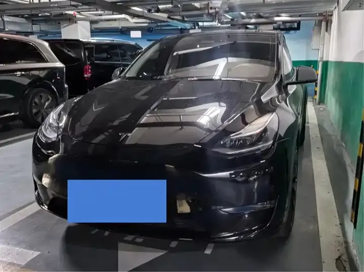 Model Y 2021 Standard Endurance Rear Drive Edition - View 1