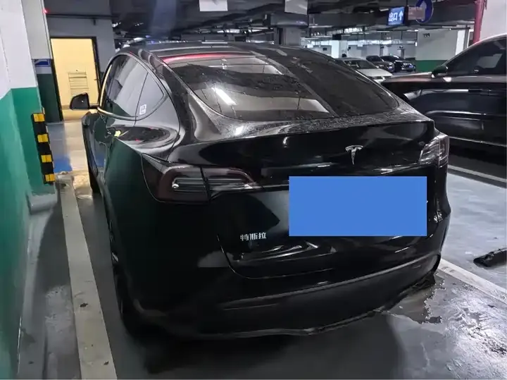 Model Y 2021 Standard Endurance Rear Drive Edition 10