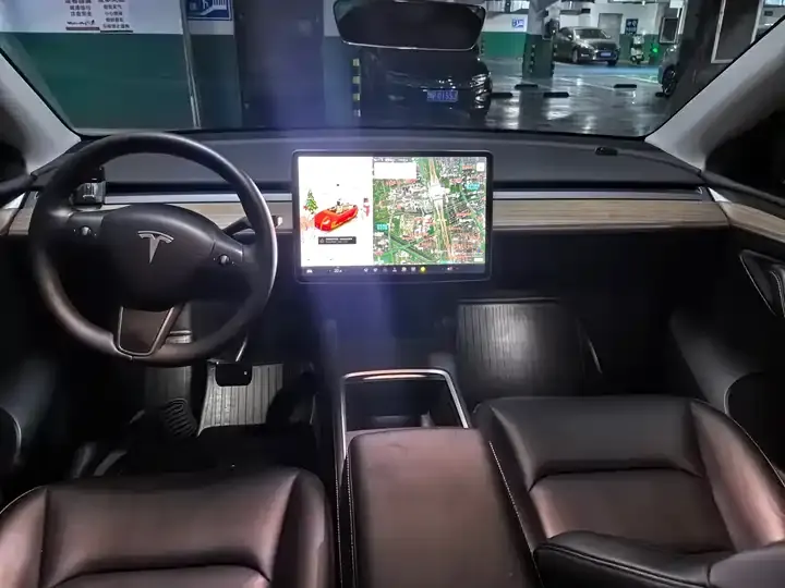 Model Y 2021 Standard Endurance Rear Drive Edition 4