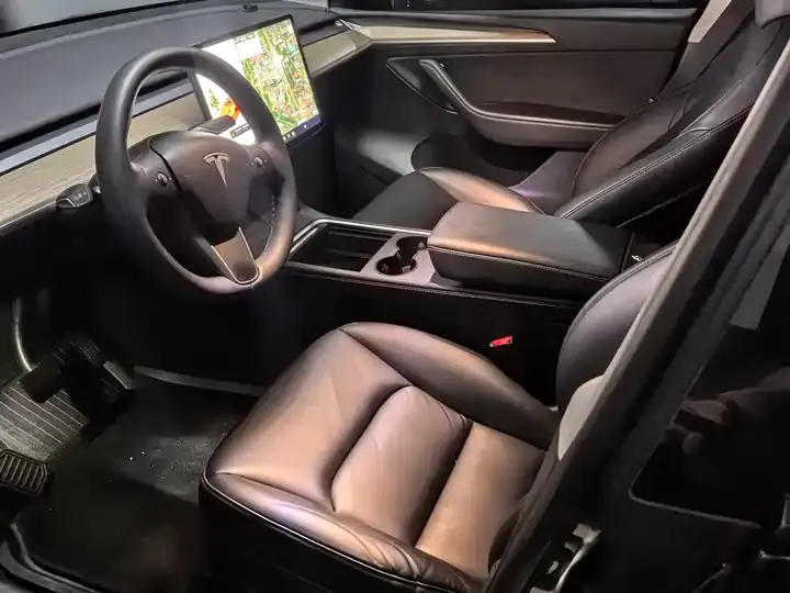 Model Y 2021 Standard Endurance Rear Drive Edition 7
