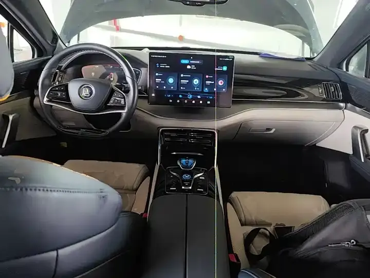Tang New Energy 2022 EV 730KM Premium 10
