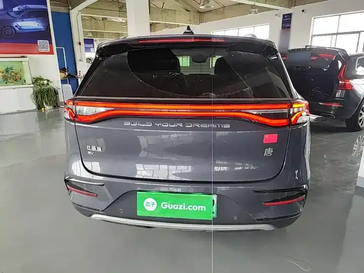 Tang New Energy 2022 EV 730KM Premium 6