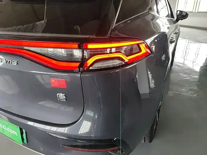Tang New Energy 2022 EV 730KM Premium 8