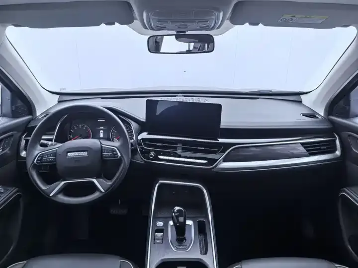 Haval H6 2021 National Tide Edition 1.5T Automatic City Edition 6