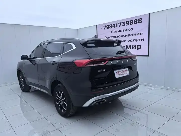 Haval H6 2021 National Tide Edition 1.5T Automatic City Edition 9