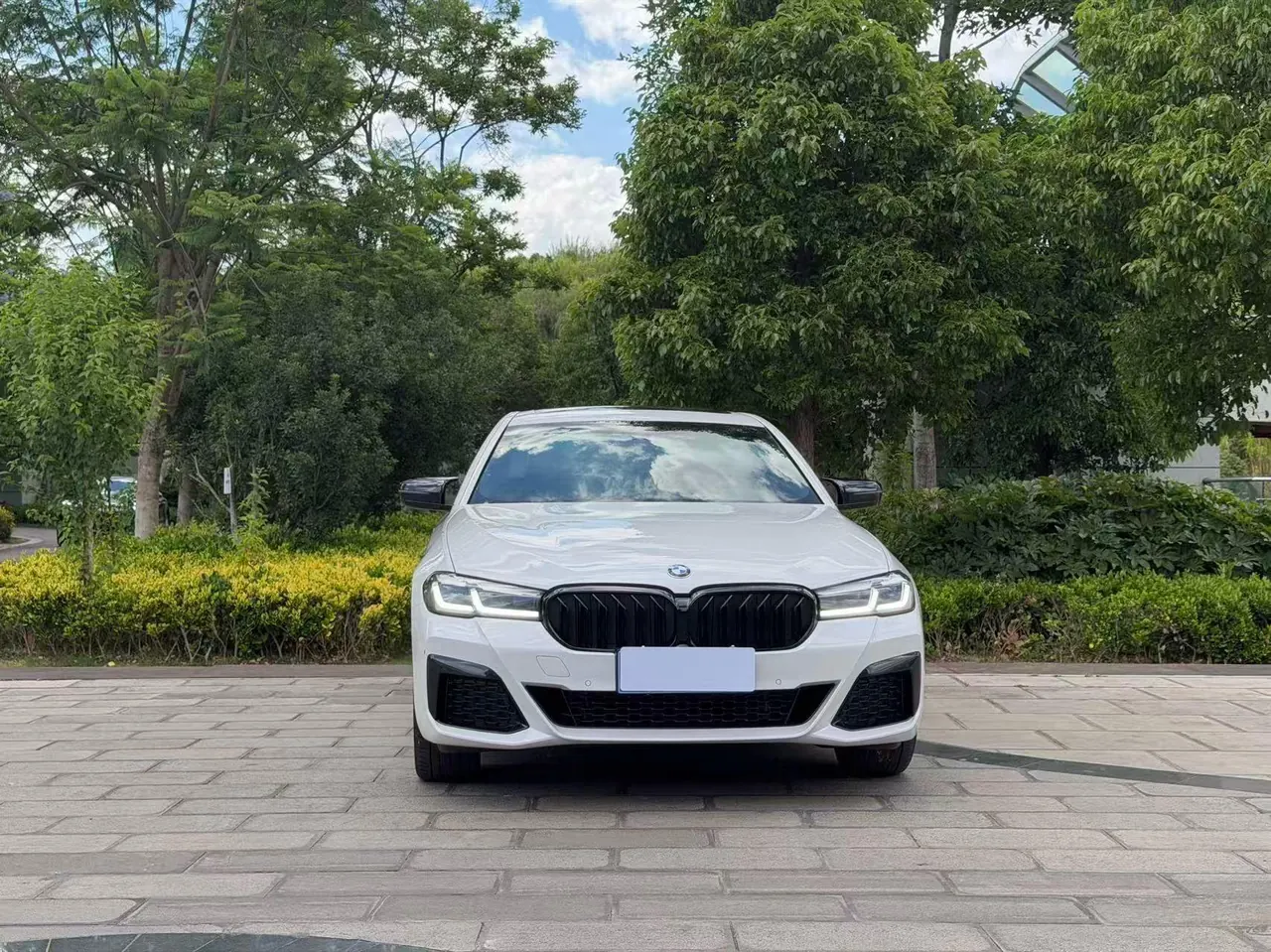 BMW 5 Series 2023 530Li 2.0T Leading Luxury Suit Automatic Gear 2