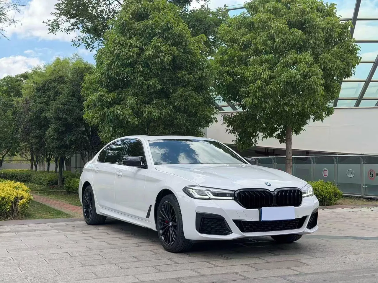 BMW 5 Series 2023 530Li 2.0T Leading Luxury Suit Automatic Gear 3