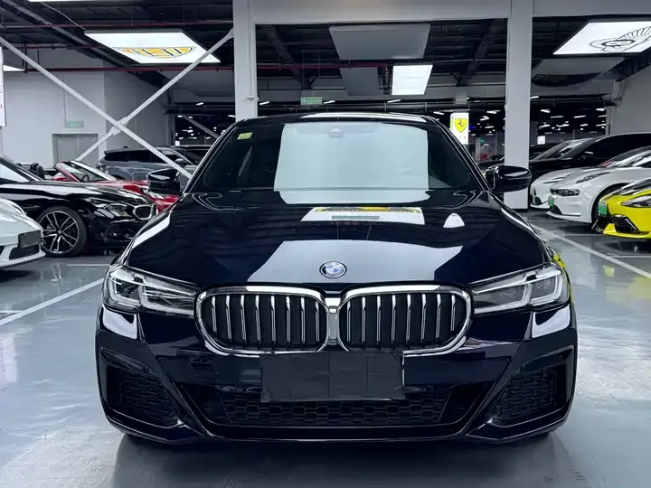 BMW 5 Series 2022 530Li Leading M Sports Suit 2