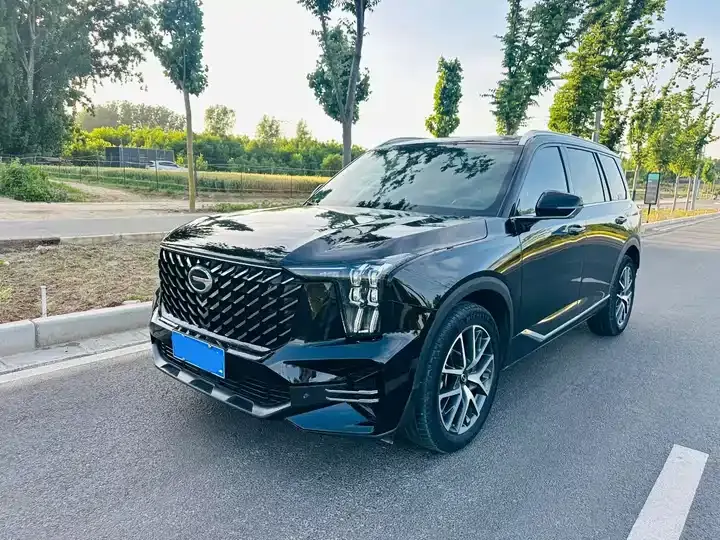 Chuanqi GS8 2022 Pilot Series 2.0TGDI Two-Drive Deluxe Zhilian Edition (Seven Seat) - View 1