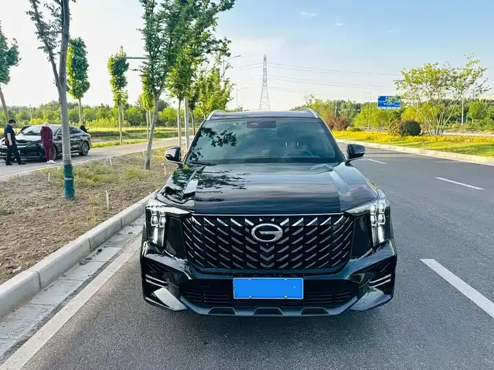 Chuanqi GS8 2022 Pilot Series 2.0TGDI Two-Drive Deluxe Zhilian Edition (Seven Seat) 2