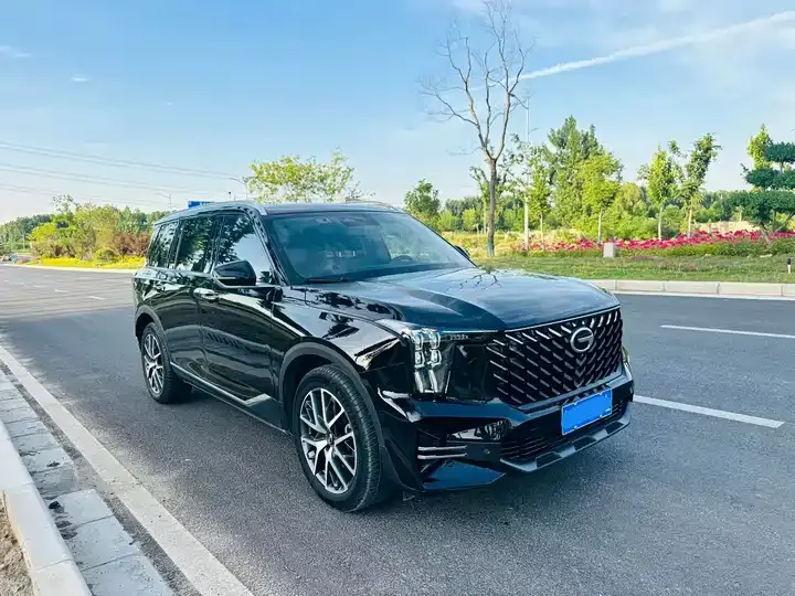 Chuanqi GS8 2022 Pilot Series 2.0TGDI Two-Drive Deluxe Zhilian Edition (Seven Seat) 3