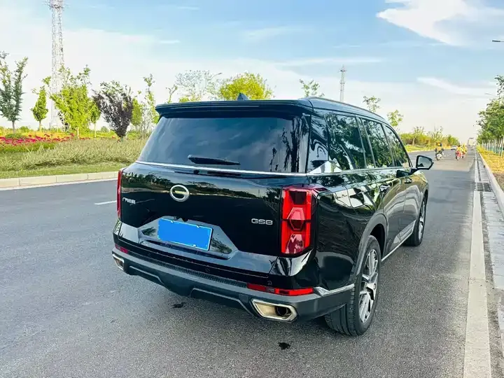 Chuanqi GS8 2022 Pilot Series 2.0TGDI Two-Drive Deluxe Zhilian Edition (Seven Seat) 7