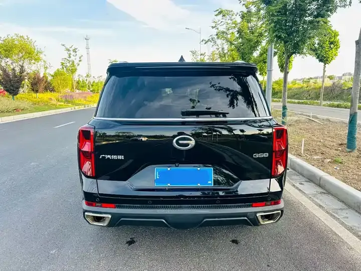 Chuanqi GS8 2022 Pilot Series 2.0TGDI Two-Drive Deluxe Zhilian Edition (Seven Seat) 8
