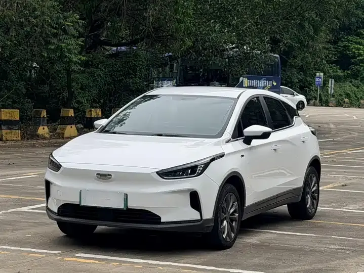 Open image lightbox: Geely Geometry C 2021 400 Struggle Edition