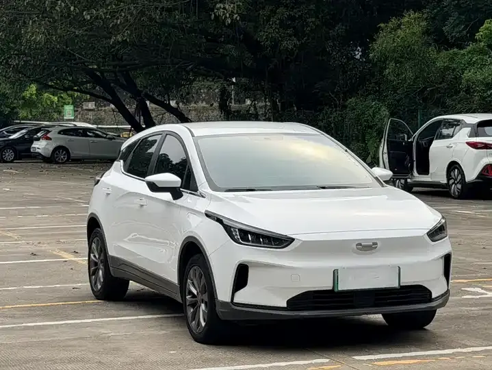 Geely Geometry C 2021 400 Struggle Edition 3