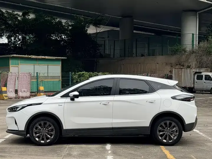 Geely Geometry C 2021 400 Struggle Edition 4