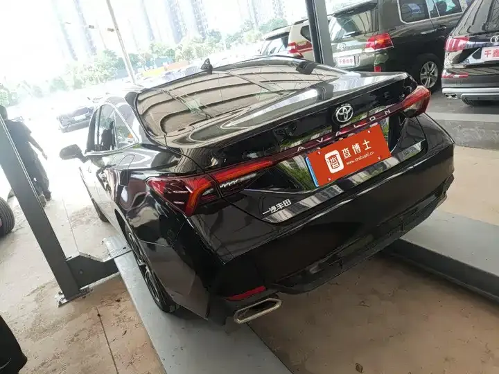 Asian Dragon 2022 2.0L Deluxe Edition 6