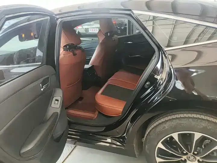 Asian Dragon 2022 2.0L Deluxe Edition 8