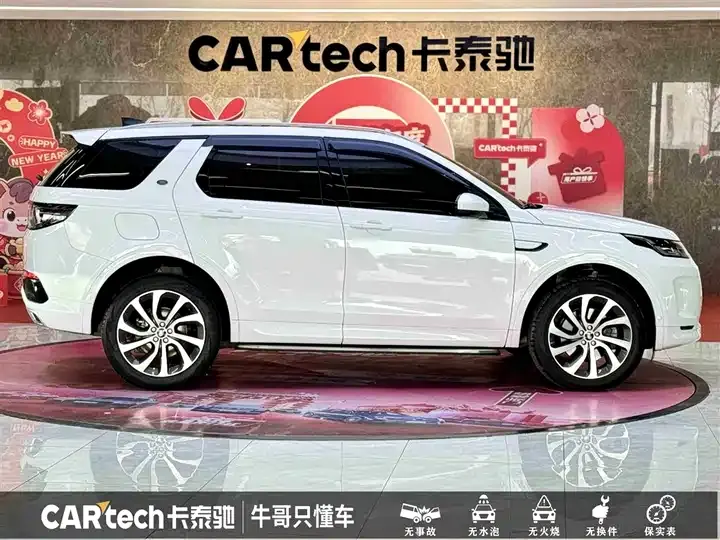 Found sports 2021 249PS R-Dynamic SE performance technology version 5 9