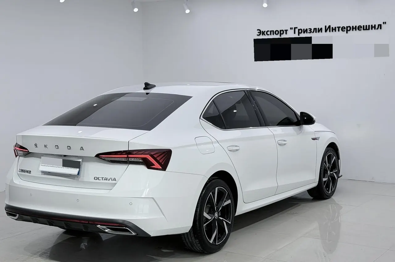 Skoda 2023 Ming Rui PRO 1.4TSI TSI280 Luxury Edition (Modified) Automatic Gear 4