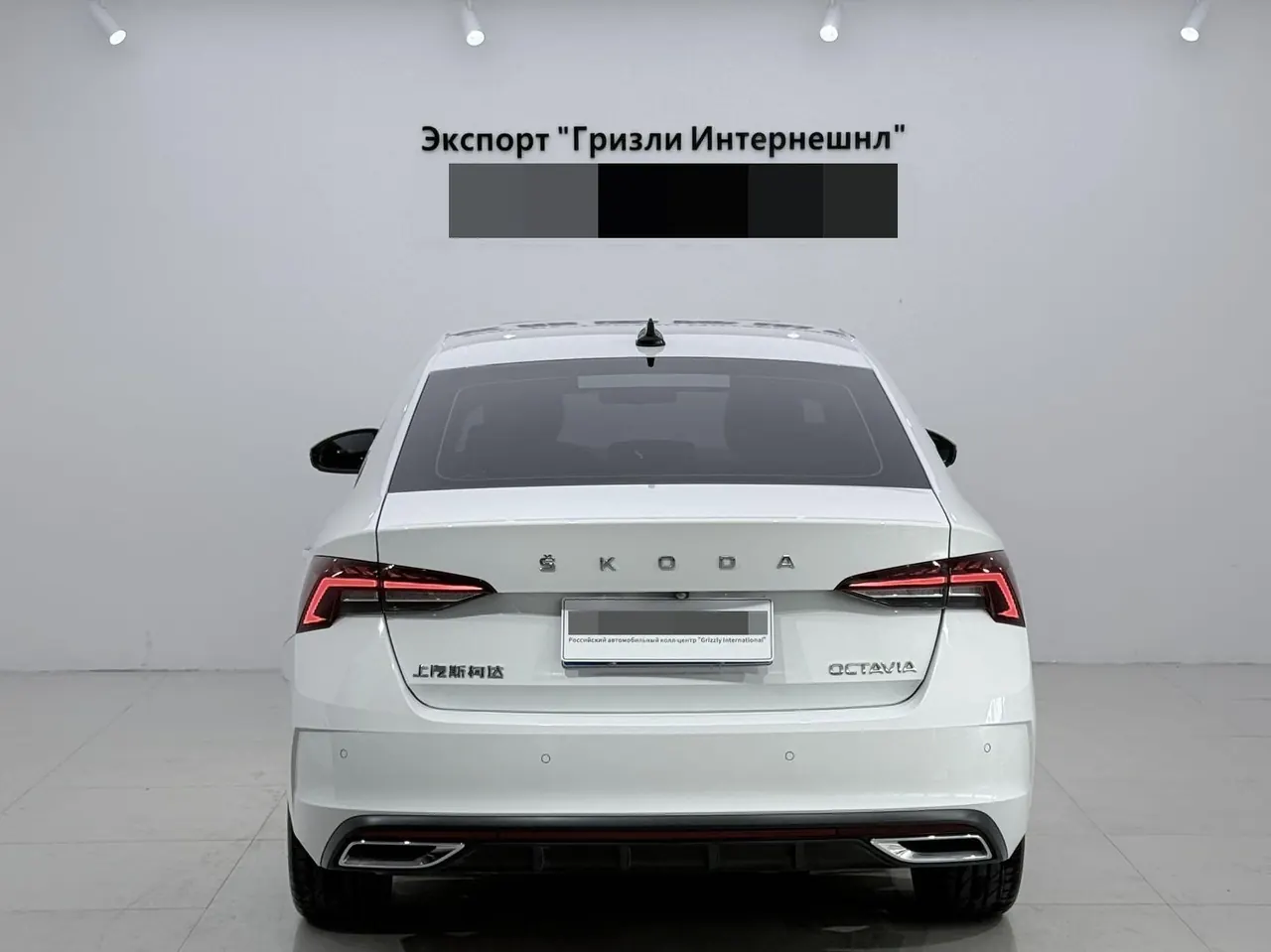Skoda 2023 Ming Rui PRO 1.4TSI TSI280 Luxury Edition (Modified) Automatic Gear 5