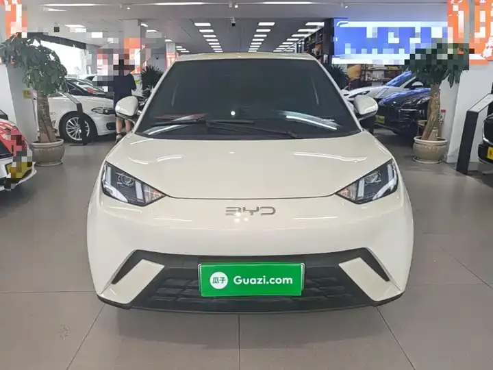 Seagull 2024 Glory Edition 305km Vital Edition 3