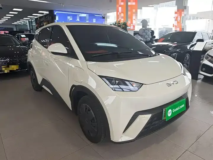 Seagull 2024 Glory Edition 305km Vital Edition 4