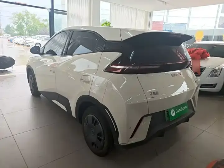 Seagull 2024 Glory Edition 305km Vital Edition 5