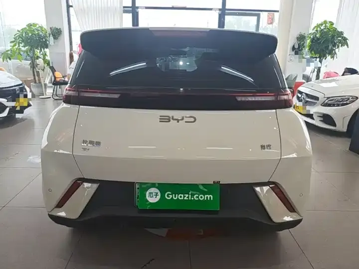 Seagull 2024 Glory Edition 305km Vital Edition 6