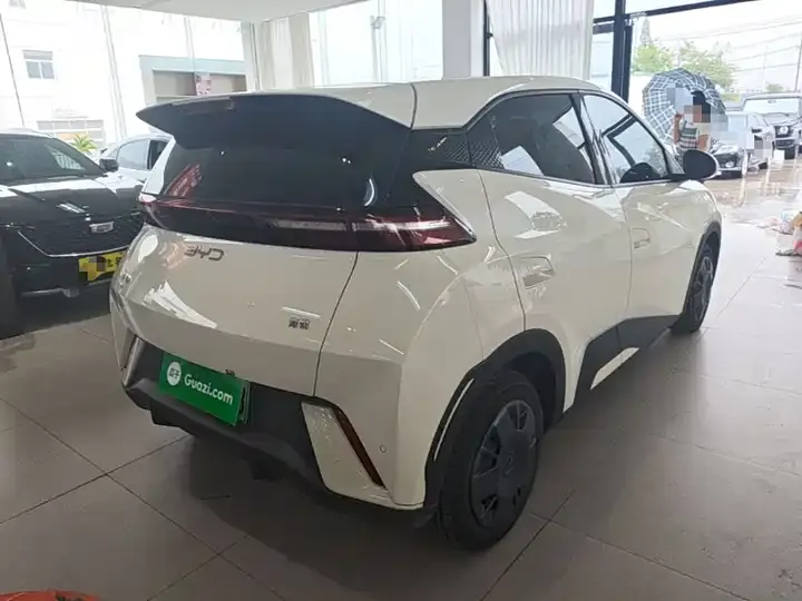 Seagull 2024 Glory Edition 305km Vital Edition 7