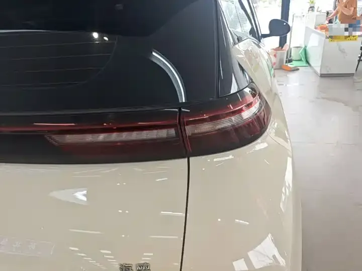 Seagull 2024 Glory Edition 305km Vital Edition 8