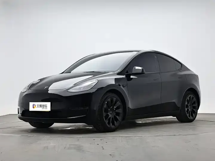 Model Y 2021 Standard Endurance Rear Drive Edition - View 1