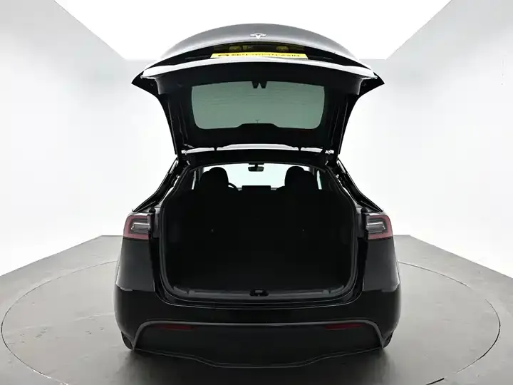 Model Y 2021 Standard Endurance Rear Drive Edition 10