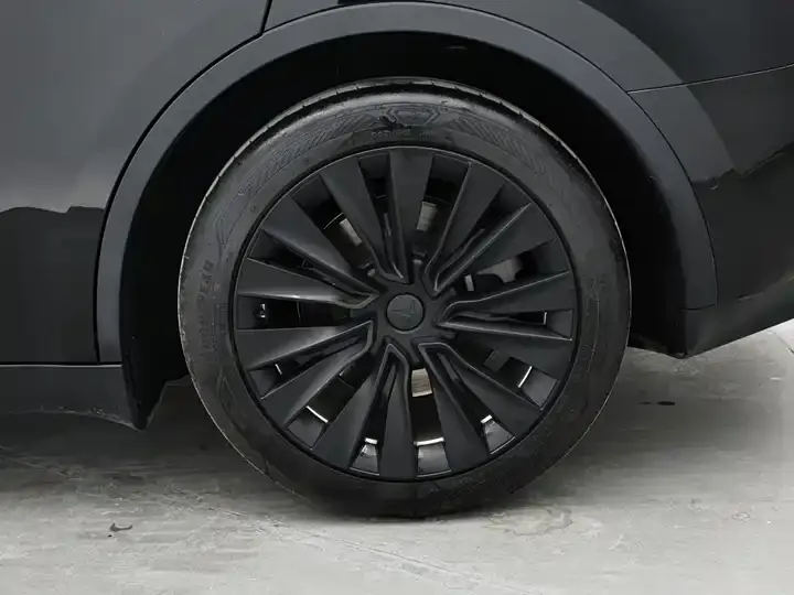 Model Y 2021 Standard Endurance Rear Drive Edition 11