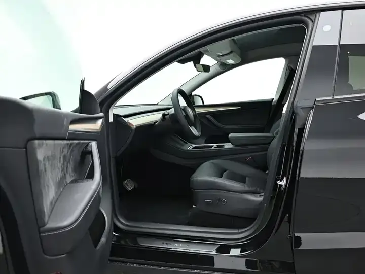 Model Y 2021 Standard Endurance Rear Drive Edition 12