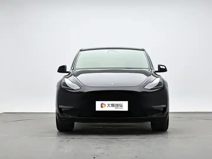 Model Y 2021 Standard Endurance Rear Drive Edition 2
