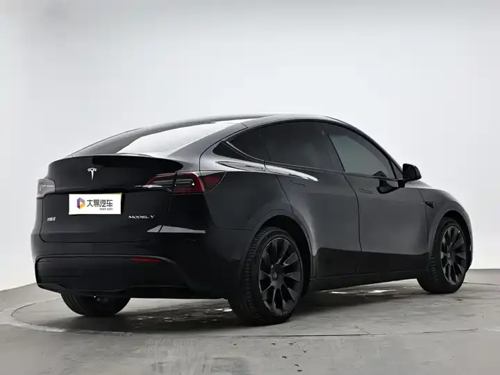 Model Y 2021 Standard Endurance Rear Drive Edition 3