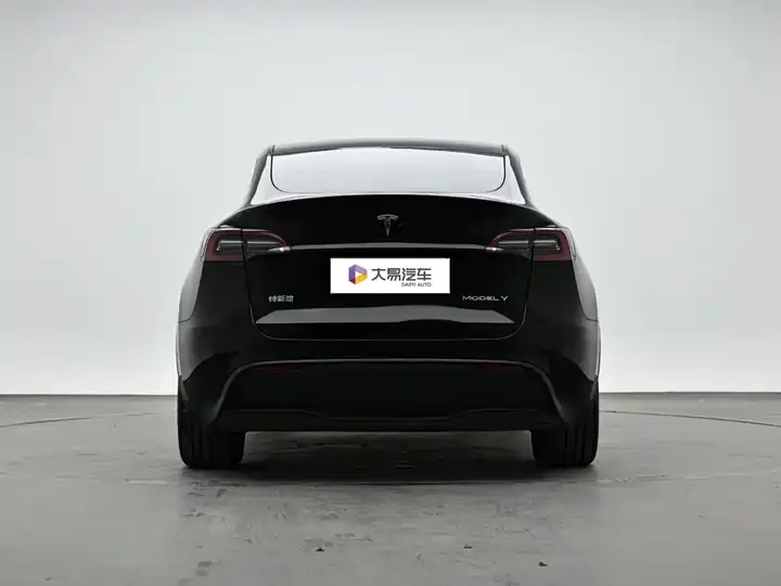Model Y 2021 Standard Endurance Rear Drive Edition 4
