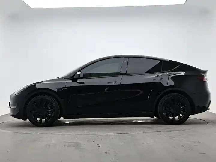 Model Y 2021 Standard Endurance Rear Drive Edition 5