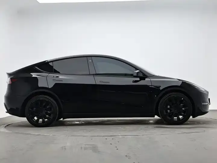 Model Y 2021 Standard Endurance Rear Drive Edition 6