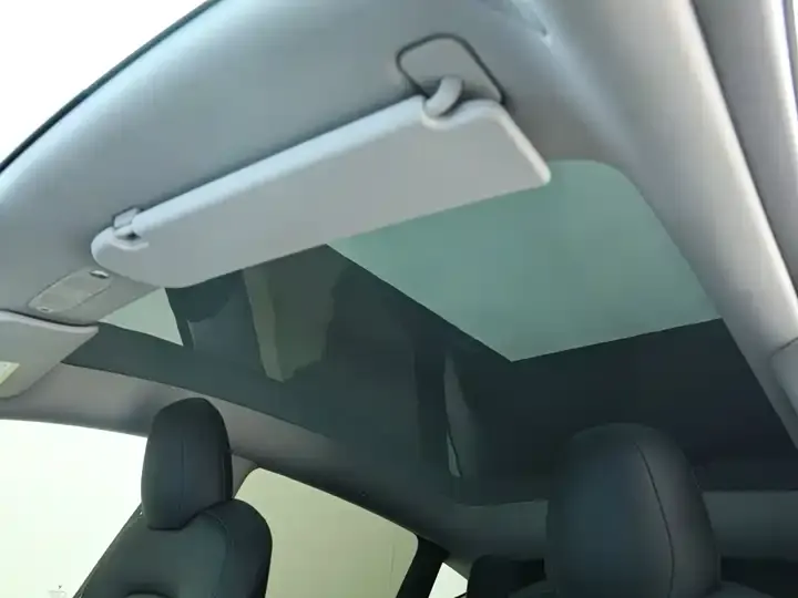 Model Y 2021 Standard Endurance Rear Drive Edition 7