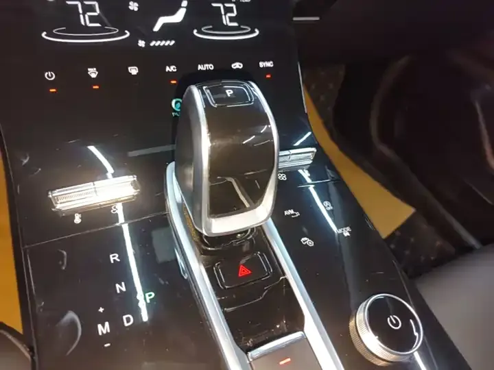 Ruihu 8 PLUS 2021 290TGDI DCT Pride Edition 10