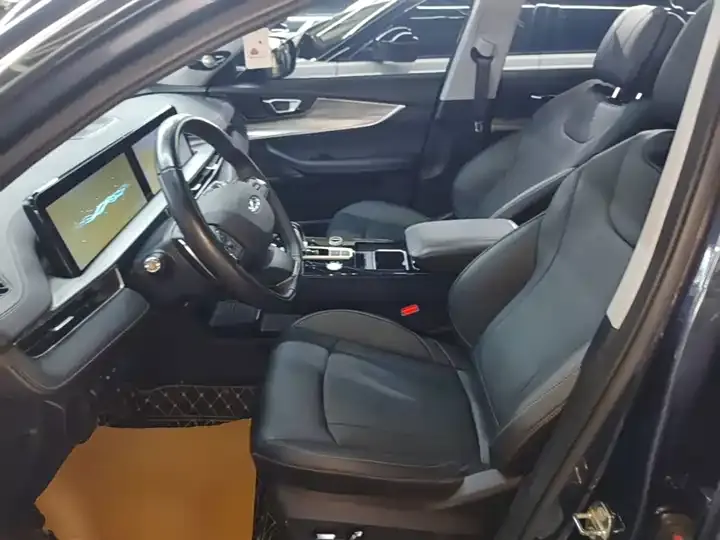 Ruihu 8 PLUS 2021 290TGDI DCT Pride Edition 11