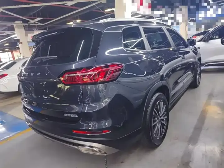 Ruihu 8 PLUS 2021 290TGDI DCT Pride Edition 5